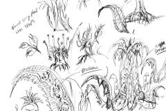 578881214_10235191483140147_4717027728153180032_n