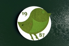 bird-done-1