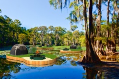camping-swampy