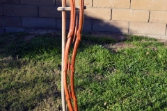 Probabilities cane, african mahogany and curly maple, gift to my father.
