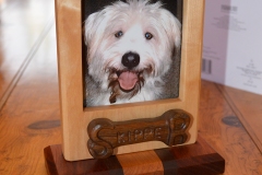 Josh-Skipper-frame-2