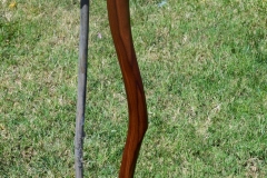 Swerve cane in walnut, sapele, zebrawood and bubinga. Design follows grain in walnut.